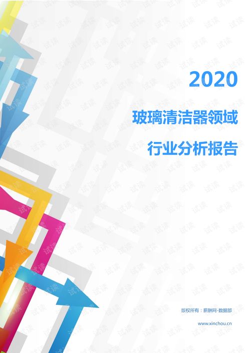 2020年家電家居清潔用品行業玻璃清潔器領域市場分析報告 基于計算機數據的處理洞察